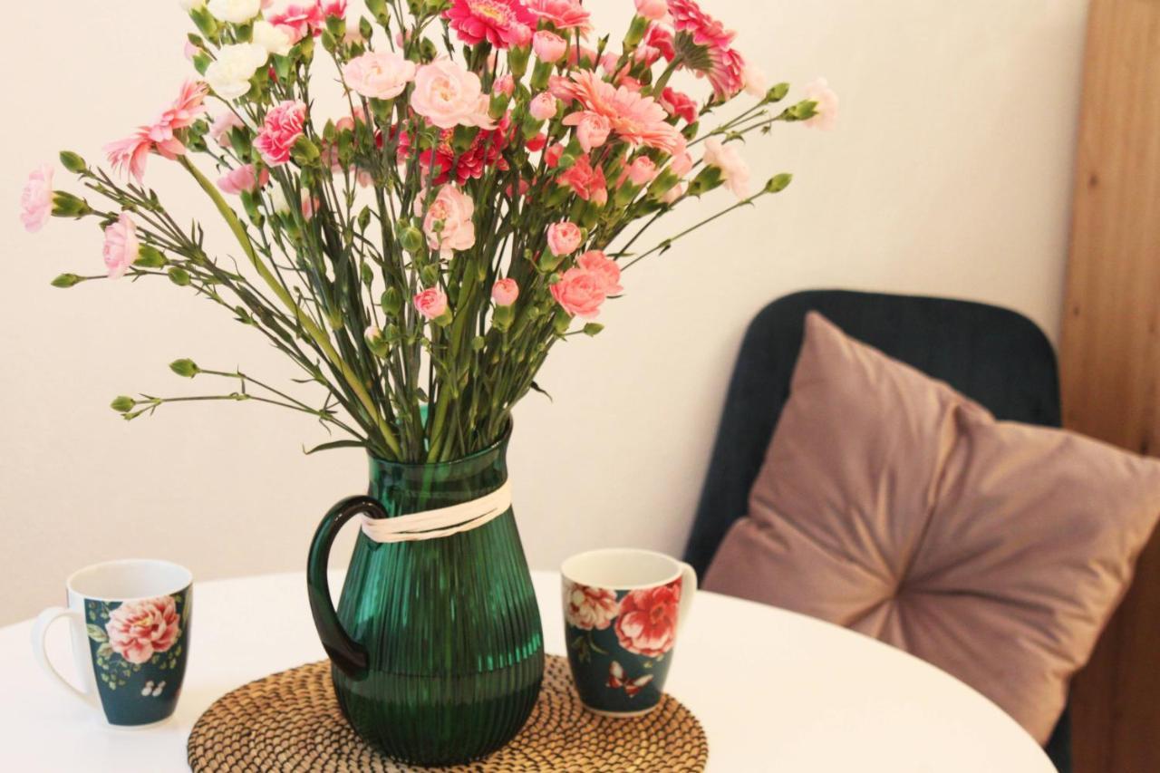 Cosy & Perfect Located Krakow